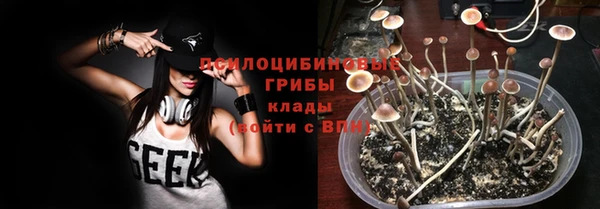 прущие грибы Алзамай