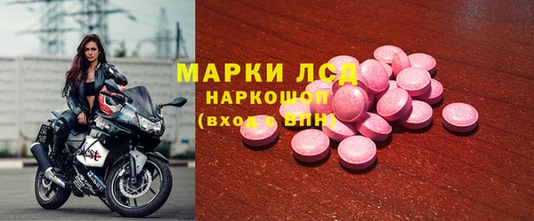 прущие грибы Алзамай