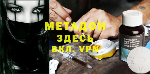 прущие грибы Алзамай