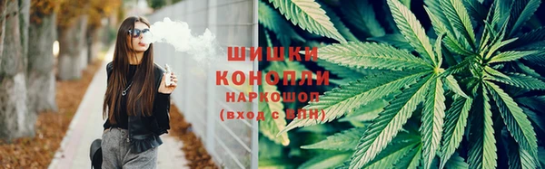 ешки Алексеевка