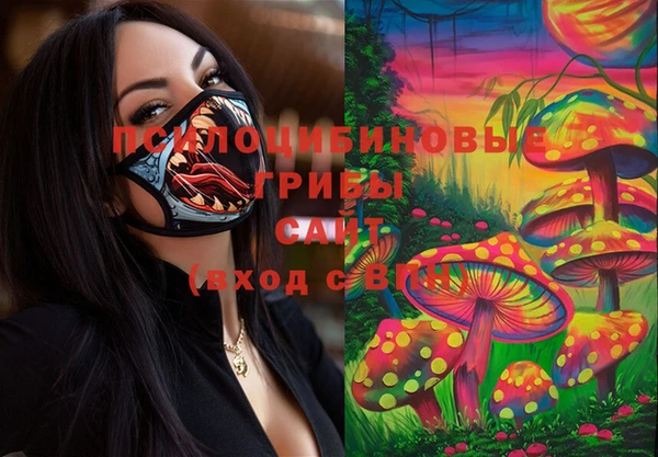 ешки Алексеевка
