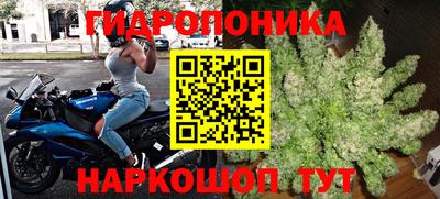 гидропоника Азнакаево